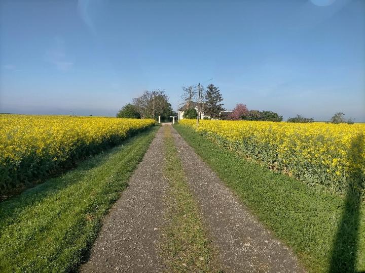Studio " Tournesol " Au Coeur Du Berry Les Bordes Esterno foto
